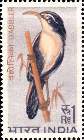 Indian Birds 1968