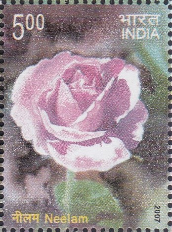 Indian Rose Society, Delhi