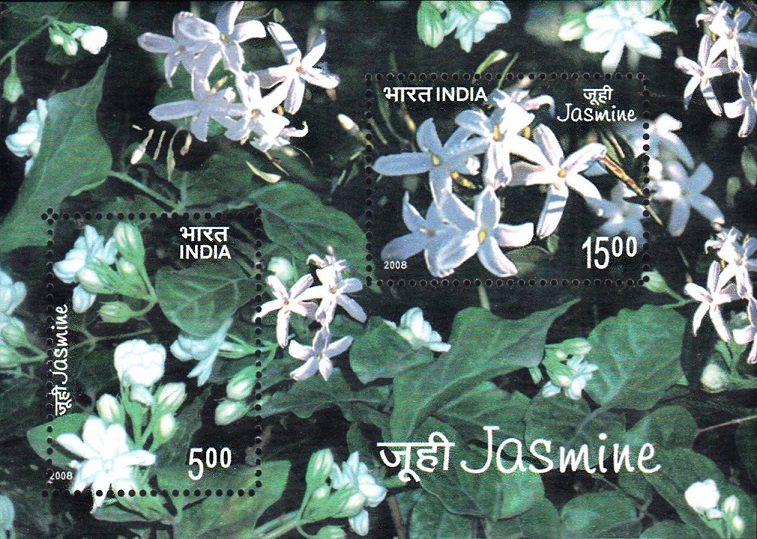 India on Jasmine