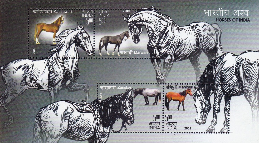 Malani, Kathiawadi, Zaniskari and Manipuri pony