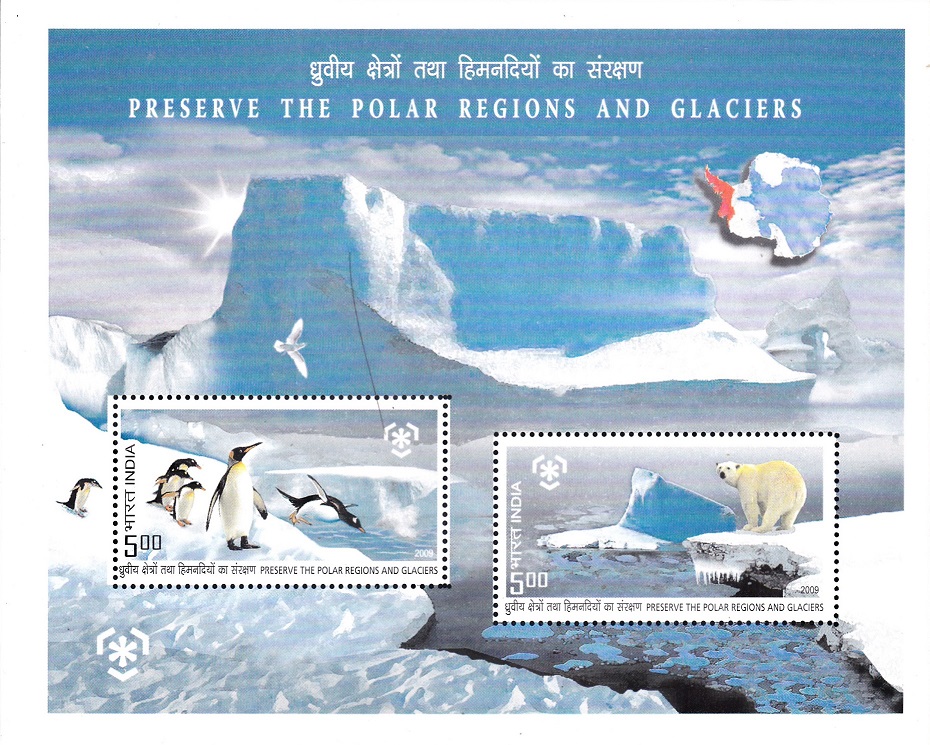 North and South Poles : Emperor Penguins & Polar Bear