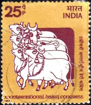  India on XIX International Dairy Congress