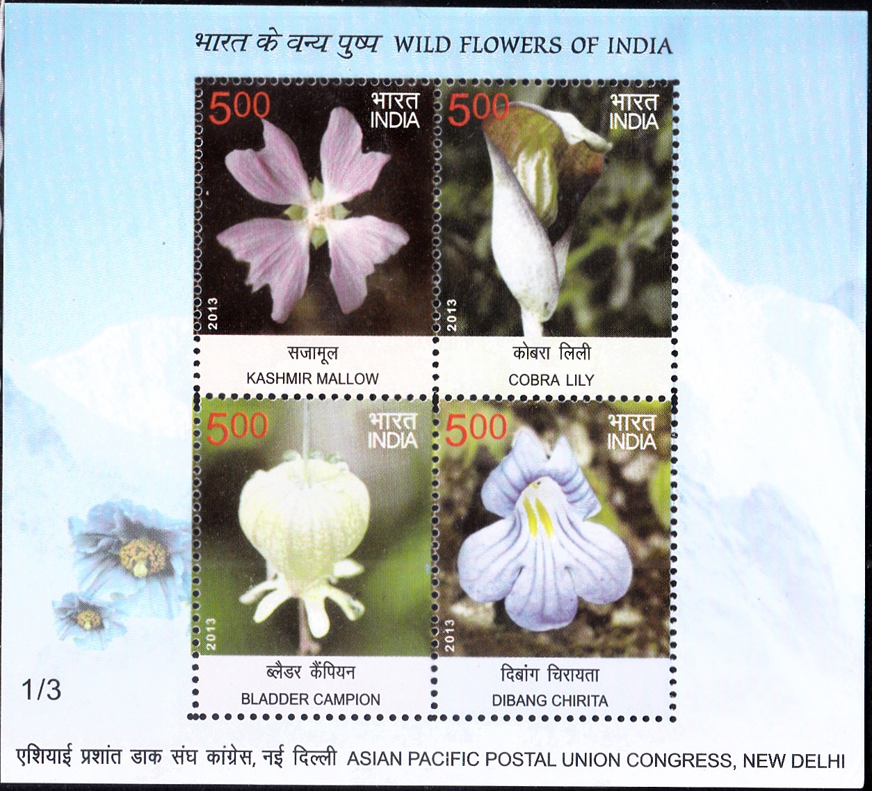Wild Flowers of India 2013