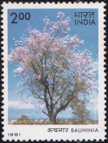  Indian Flowering Trees 1981