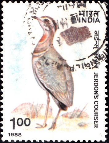  Indian Wild Life 1988