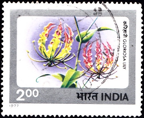  Indian Flowers 1977