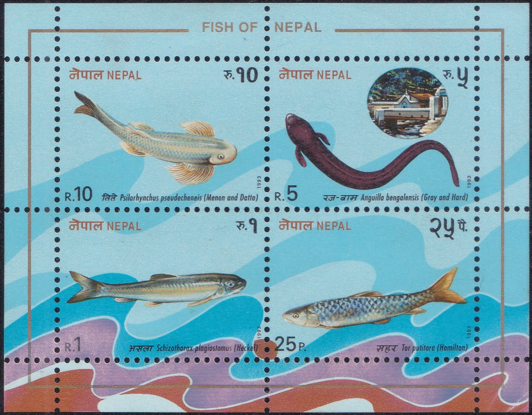 Nepal Fish Series 1993
