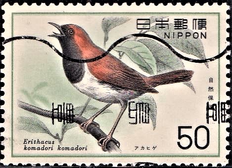  Akahige : Japan Nature Conservation Series VIII