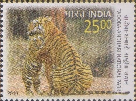 Andhari Tiger Reserve India
