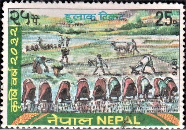  Nepal on Agriculture Year 1976