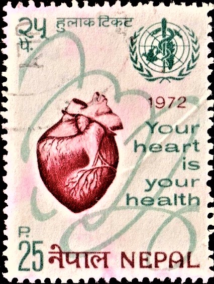 Your Heart is Your Health