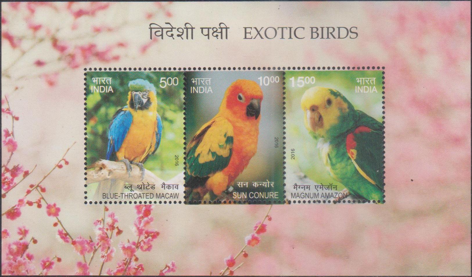 Exotic Birds of India 2016