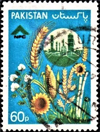  National Fertilizer Corporation of Pakistan