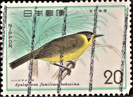  Hahajimameguro : Japan Nature Conservation Series VII