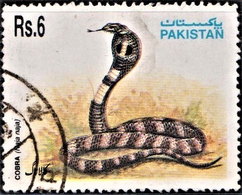 Snakes of Pakistan 1995