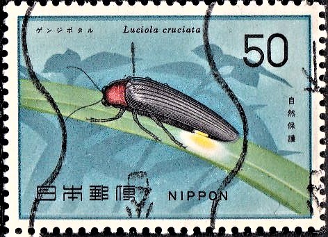 Genjibotaru : Japan Nature Conservation Series XV