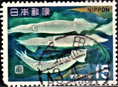 Surume-Ika : Japan Fish Series No. 11