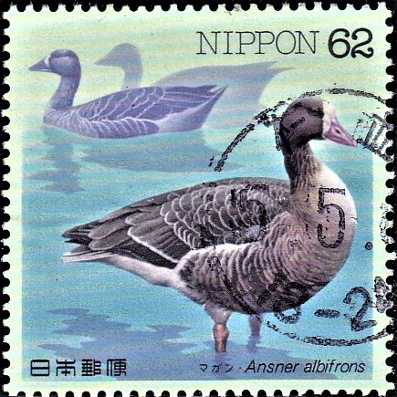  Japan Waterbird Series VII