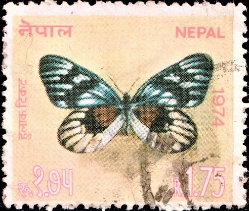  Nepal Butterfly Series 1974
