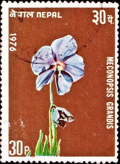  Nepal Flower Series 1976